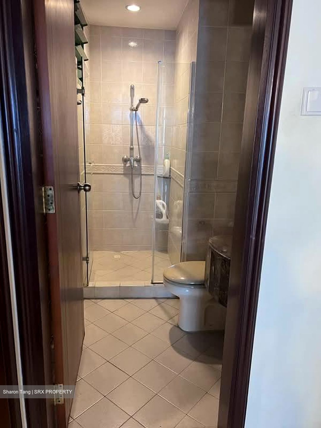 Toh Tuck Road (D21), Condominium #575936331